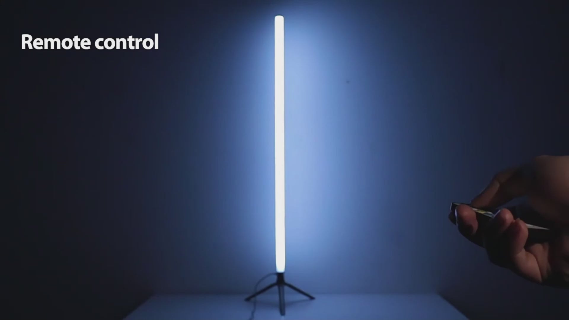 JTZR RGBIC Floor Lamp
